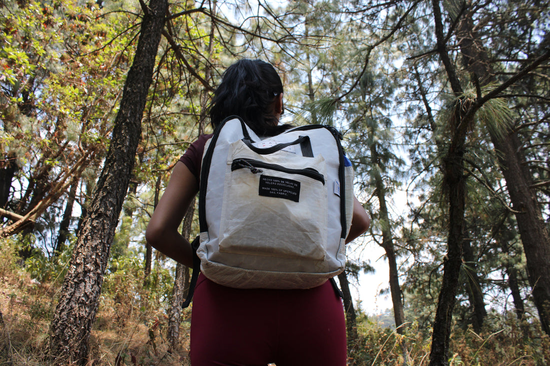 Consumir con conciencia: una nueva forma de elegir